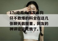 17c吃瓜大爆发！狗仔不敢爆的料全在这几张聊天截图里，网友的神评论笑死我了。